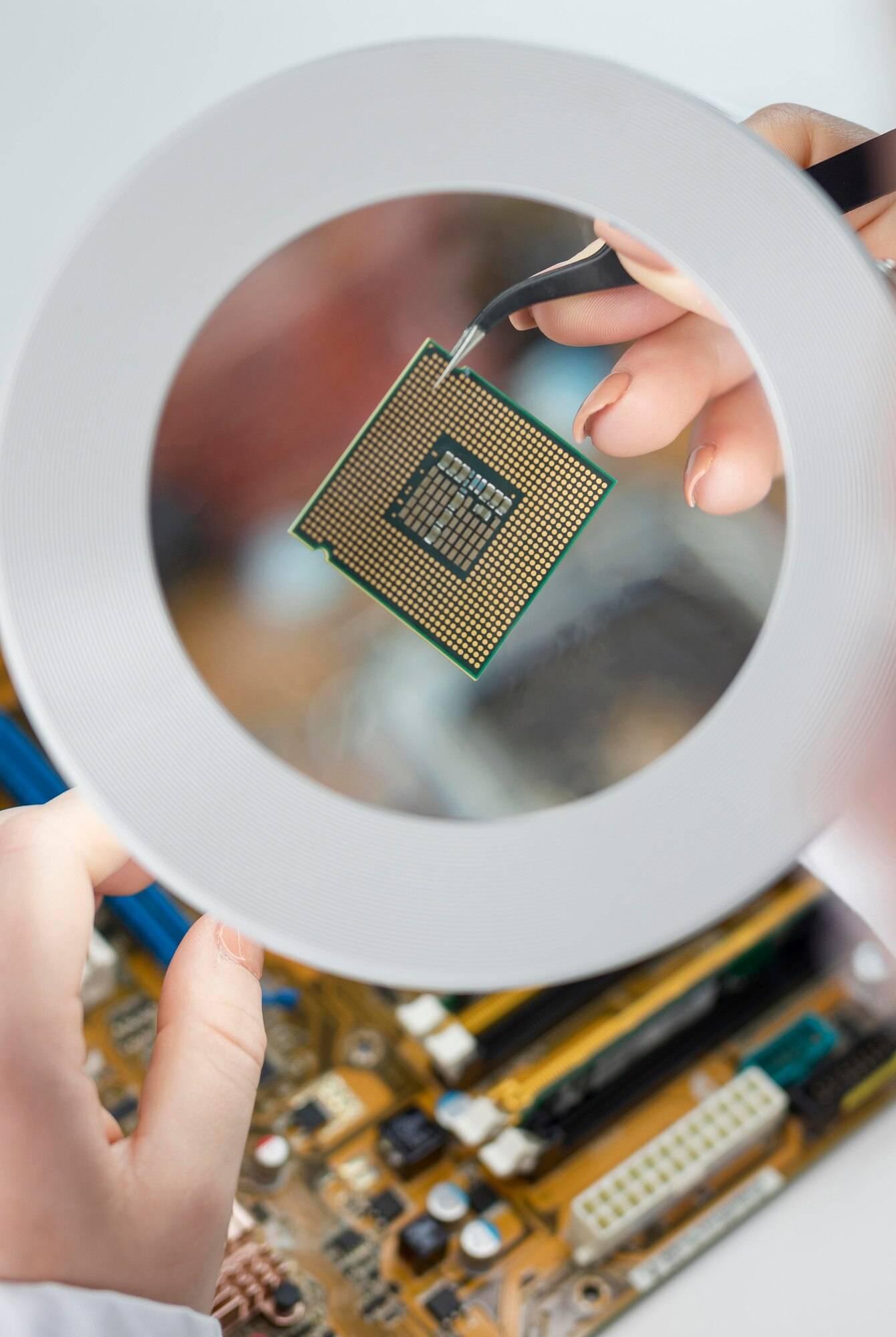 PROCESSORS